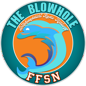 Podcast The Blowhole: A Miami Dolphins podcast