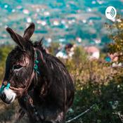 Podcast The Donkeys purpose in Africa