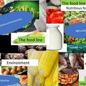 Podcast The food line's show