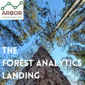 Podcast The Forest Analytics Landing