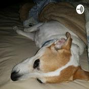 Podcast The Puppy Song