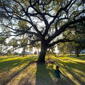 Podcast The Pursuit of Beauty with Matthew Wilkinson