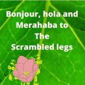 Podcast The Scrambled Legs