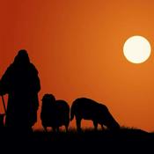 Podcast The Shepherd's Companion