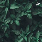 Podcast The Signs of the end time