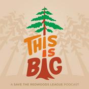 Podcast This is Big