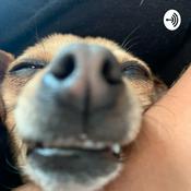 Podcast This is me being bored