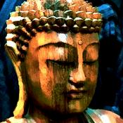 Podcast Thus Have I Heard: Readings From the Sutras of the Buddha