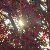 Podcast Time Seeking Jesus