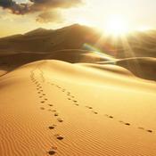 Podcast Tras las huellas de los Santos