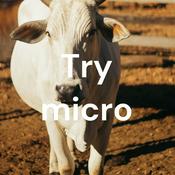 Podcast Try micro
