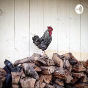 Podcast Un Día Más 2021