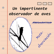 Podcast Un impertinente observador de aves