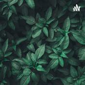 Podcast Empresa socialmente responsable