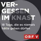 Podcast Vergessen im Knast - 18 Tage, die es niemals hätte geben dürfen