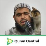 Podcast Walid Mehsas