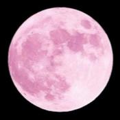 Podcast Warner’s Intuitive Pagan Podcast