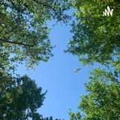 Podcast What if education on mental and cognitive disabilities were mandatory for all U.S. students?