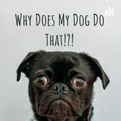 Podcast Why Does My Dog Do That!?!