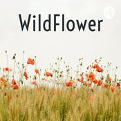Podcast WildFlower