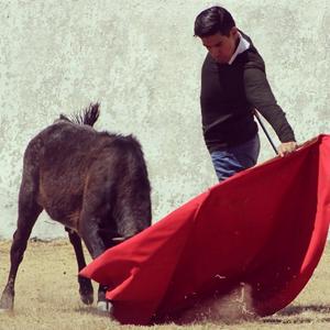 Apuntes Taurinos
