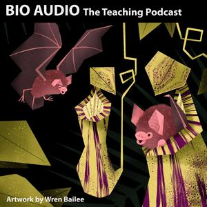 BioAudio