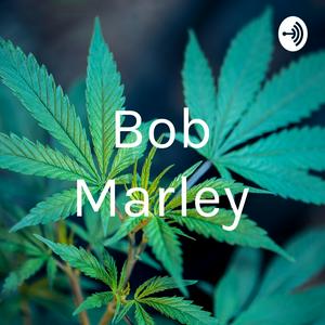 Escucha Bob Marley en la aplicación