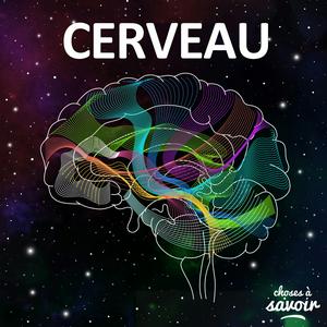 Escucha Choses à Savoir CERVEAU en la aplicación