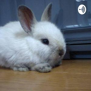 Conejoteen