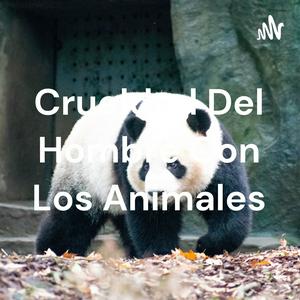 Crueldad Del Hombre Con Los Animales