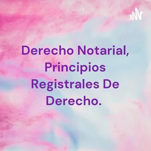 Derecho Notarial, Principios Registrales De Derecho.