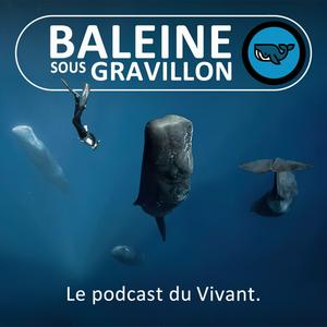 Escucha Baleine sous Gravillon en la aplicación