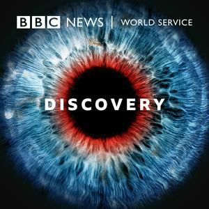 Escucha Discovery en la aplicación