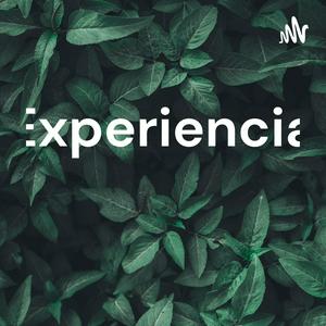 Experiencia