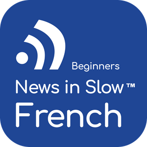 Escucha French for Beginners en la aplicación