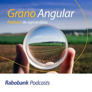 Escucha Grano Angular: Podcast de agroanálisis en la aplicación