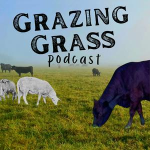 Escucha Regenerative Ag Stories on the Grazing Grass Podcast en la aplicación