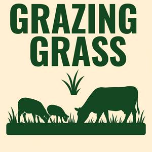 Grazing Grass Podcast sharing Regenerative Ag Stories
