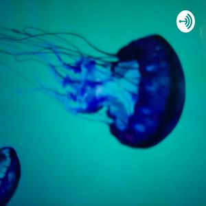 Escucha Jellyfish en la aplicación