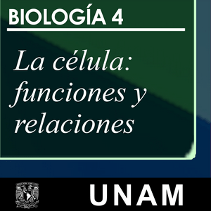 Escucha La célula: funciones y relaciones en la aplicación