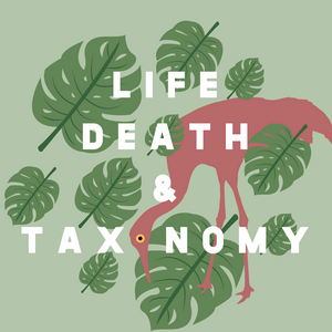 Escucha Life, Death, and Taxonomy en la aplicación