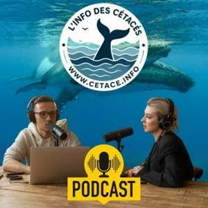 L'info des cétacés
