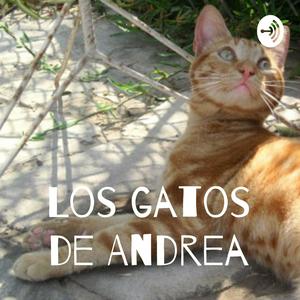 Los gatos de Andrea