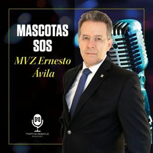 Escucha Mascotas SOS en la aplicación