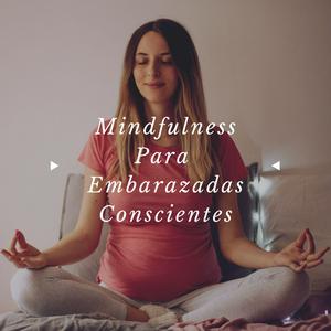 Mindfulness Podcast