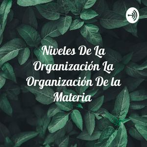 Niveles De La Organización La Organización De la Materia