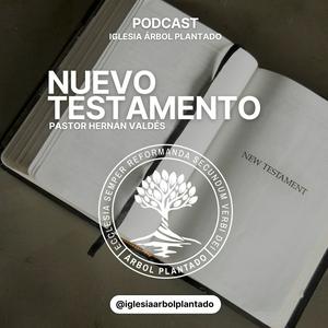 Nuevo testamento