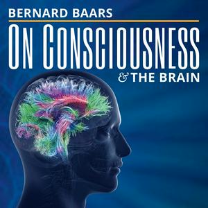 Consciousness and the Brain