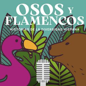 Osos y flamencos