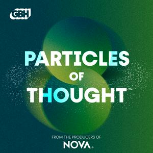 Particles of Thought